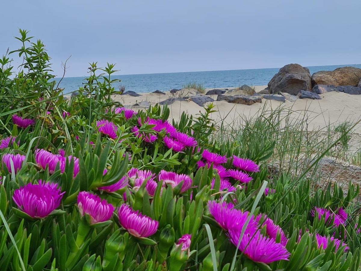 Camping Les Sables D'Or Cap D'Agde Le Grau-dʼAgde Esterno foto